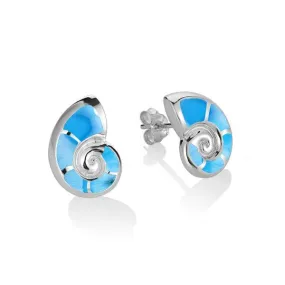 Larimar Nautilus Shell Earrings