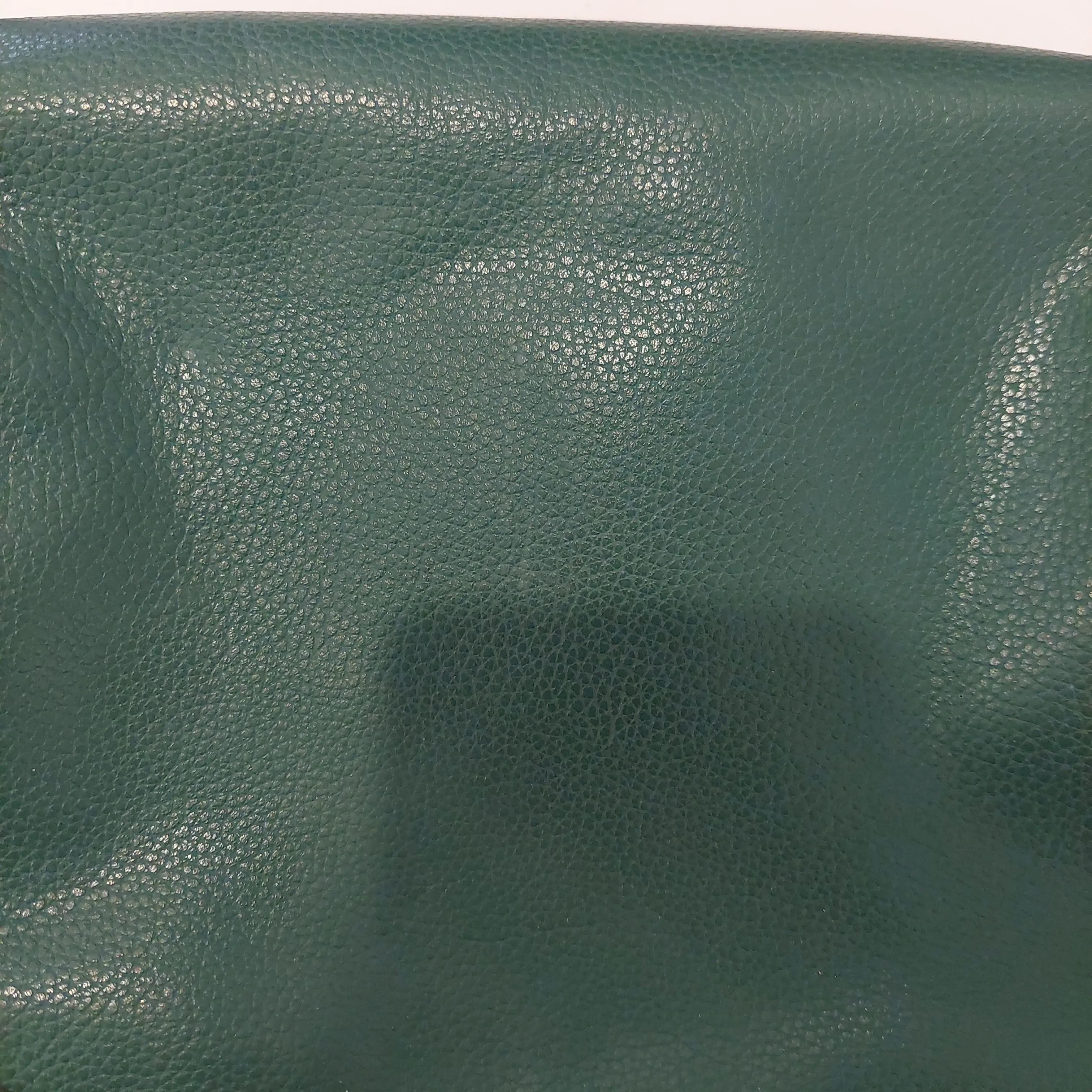 Longchamp Green Leather Saddle Crossbody Bag | Pre loved |