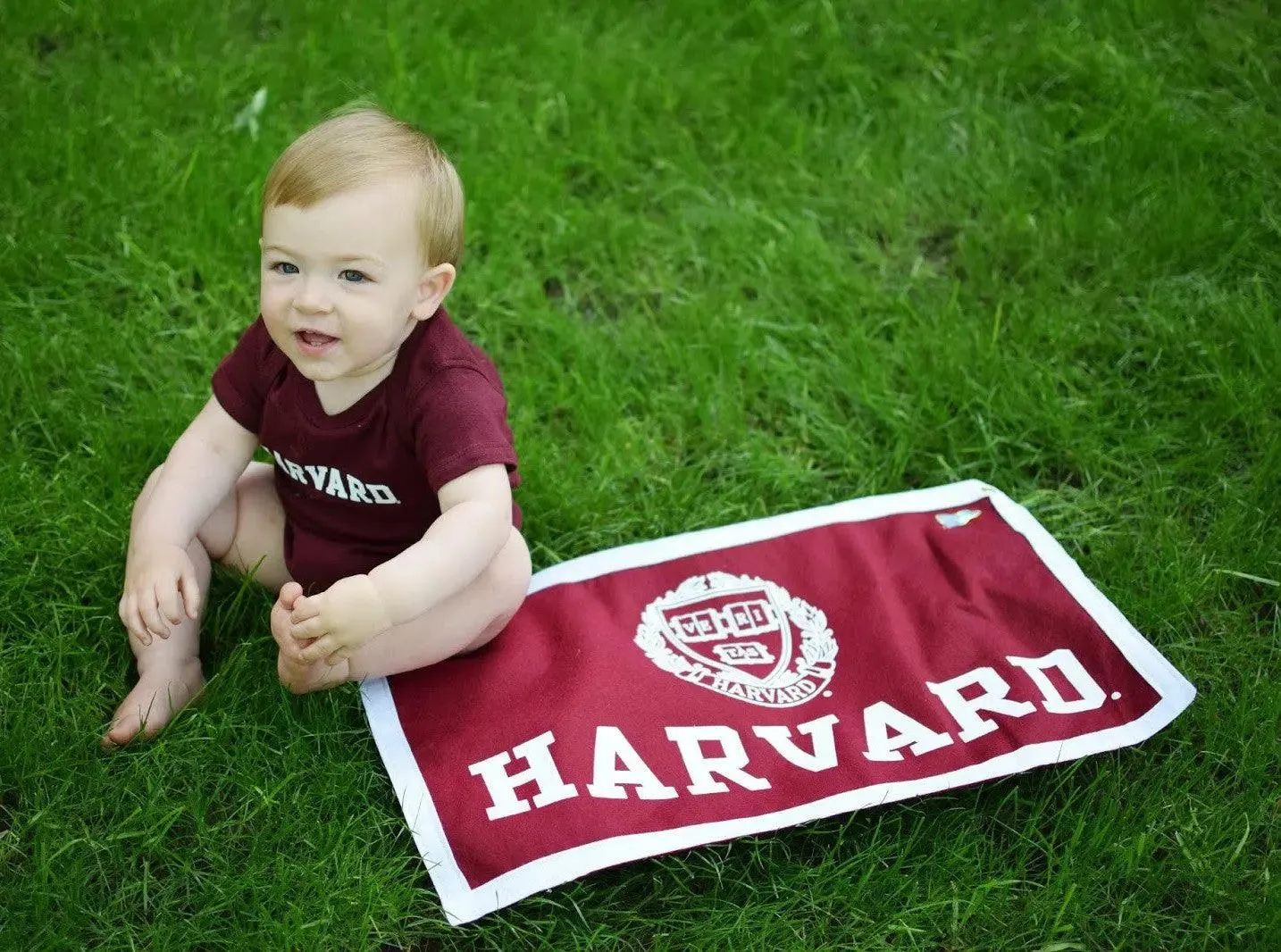 Rectangular Harvard Pennant