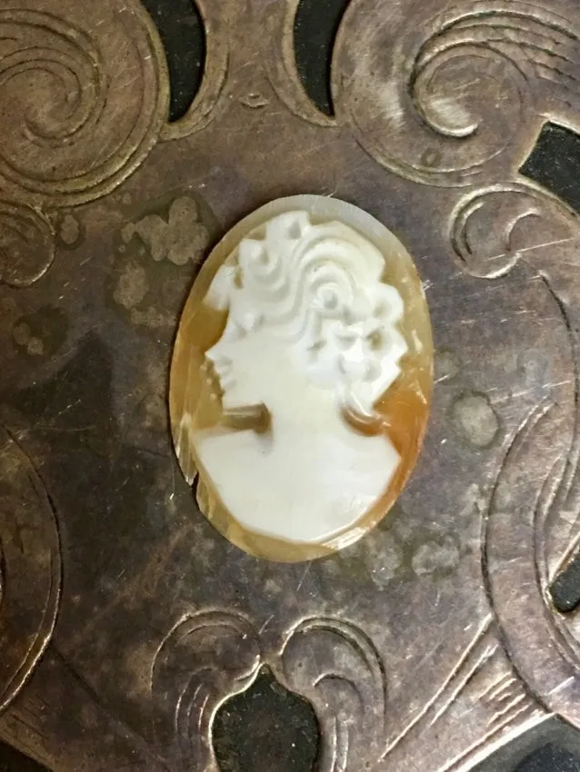 Unset Cameo Hand-Carved Shell